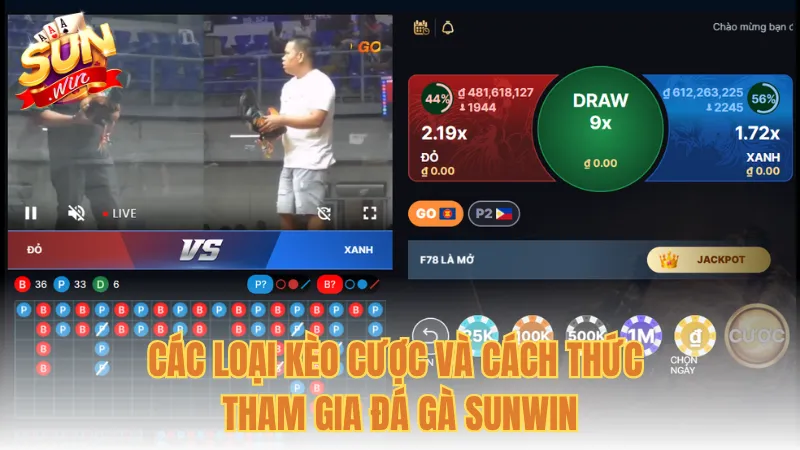 Các loại kèo cược và cách thức tham gia đá gà Sunwin
