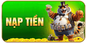 icon naptien