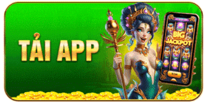 icon taiapp
