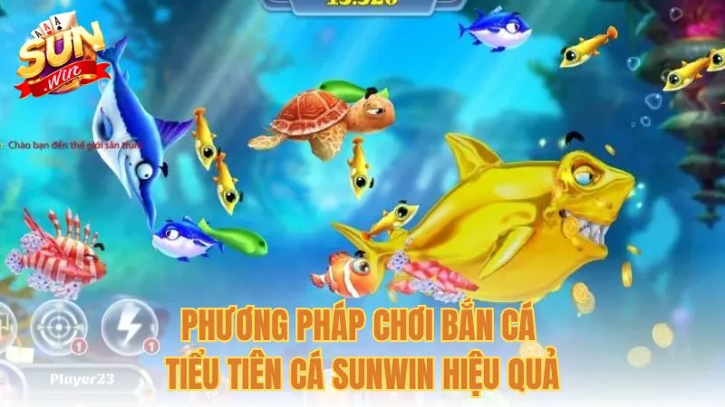 Phương pháp chơi Bắn cá Tiểu Tiên Cá Sunwin hiệu quả