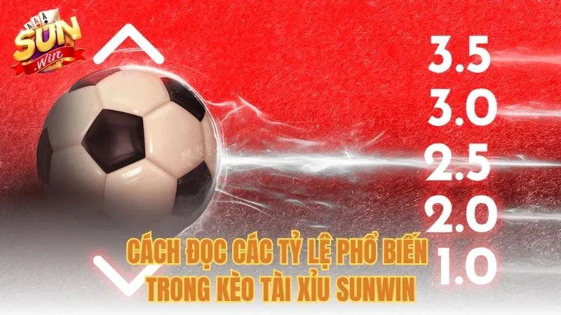 Cách đọc các tỷ lệ phổ biến trong kèo tài xỉu Sunwin
