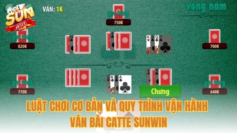 Luật chơi cơ bản và quy trình vận hành ván bài Catte Sunwin