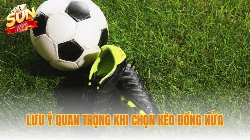 Lưu ý quan trọng khi chọn kèo đồng nửa
