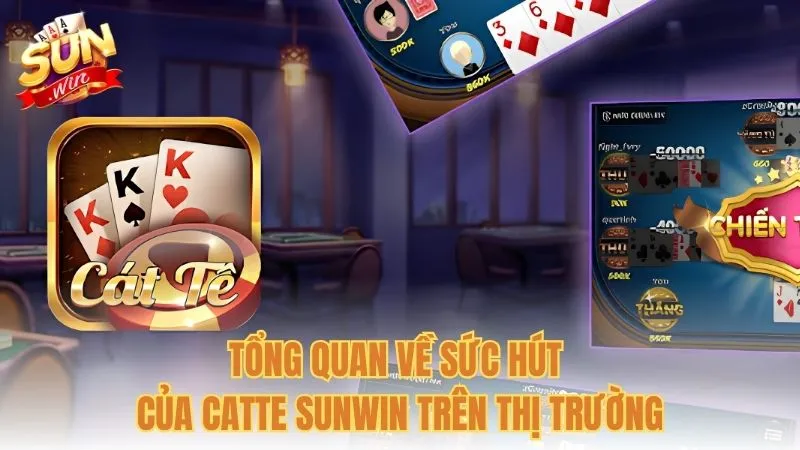 Tổng quan về sức hút của Catte Sunwin trên thị trường